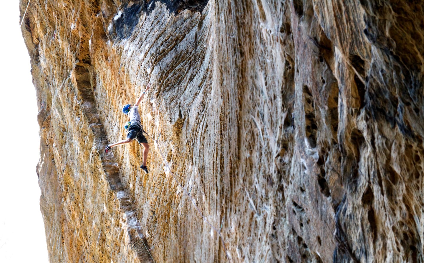 Male climber on "Snooker" at the Red River Gorge | Photo credit: Jennie Jariel